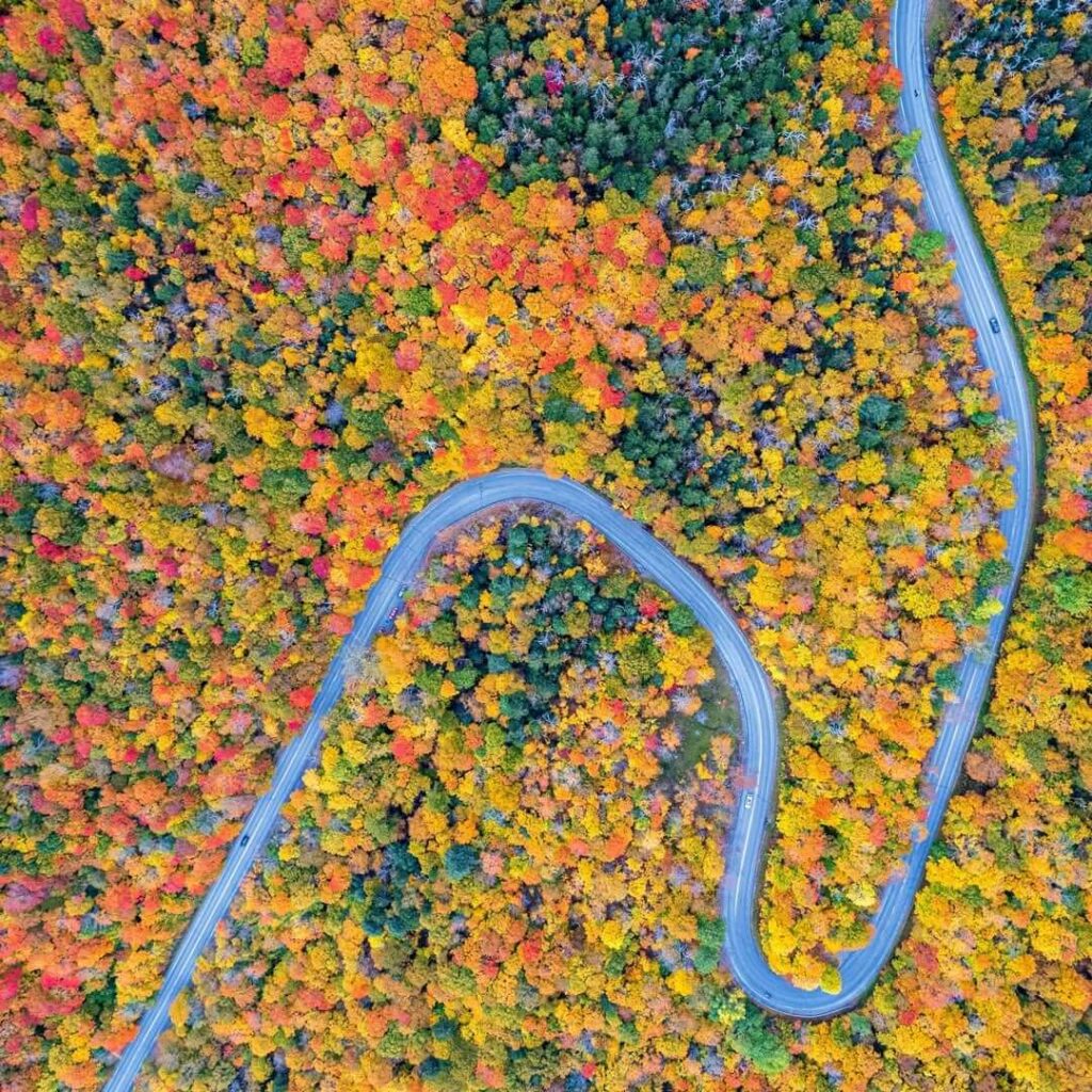 Appalachian Gap (Route 17)