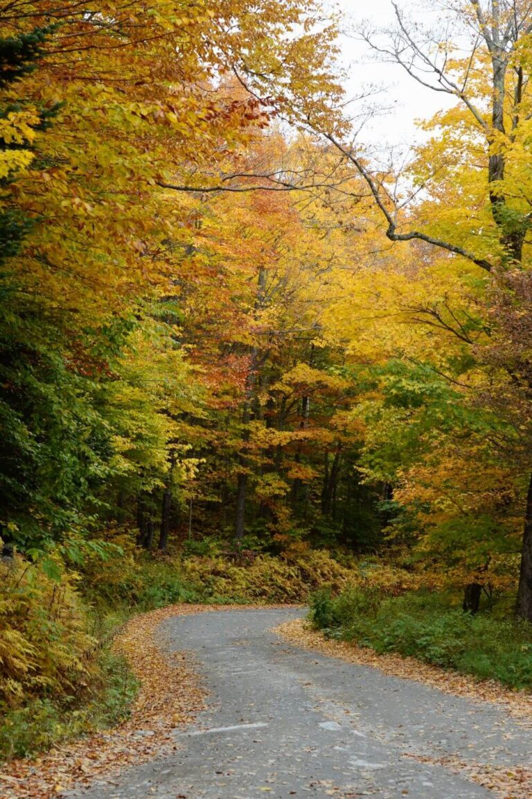 Best Time to Visit Vermont in Fall