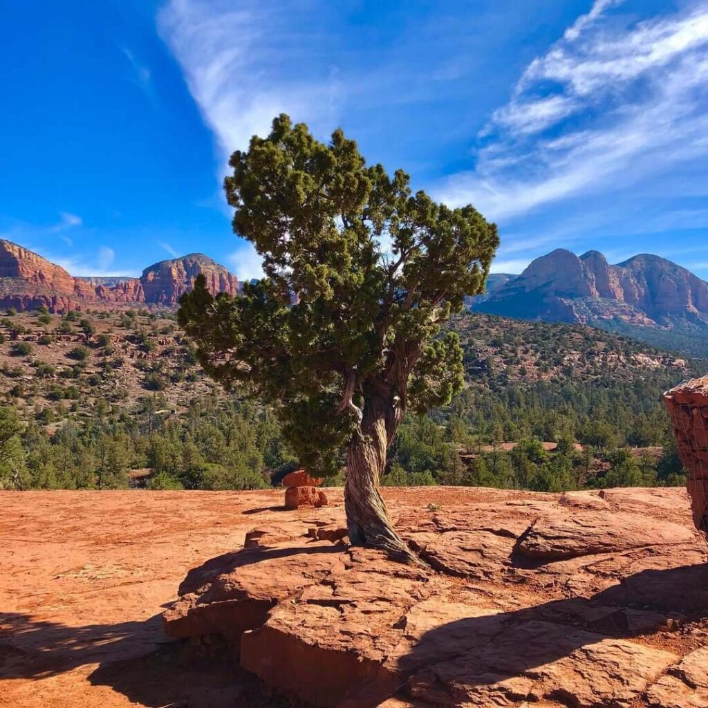 Deadman's Pass Trail Sedona