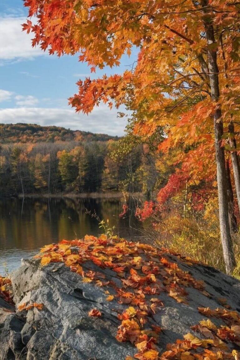 Fall Hikes in Vermont