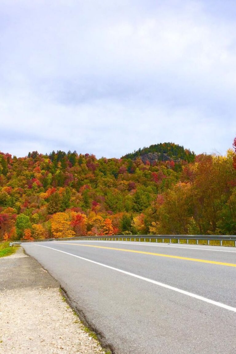 Molly Stark Trail Vermont