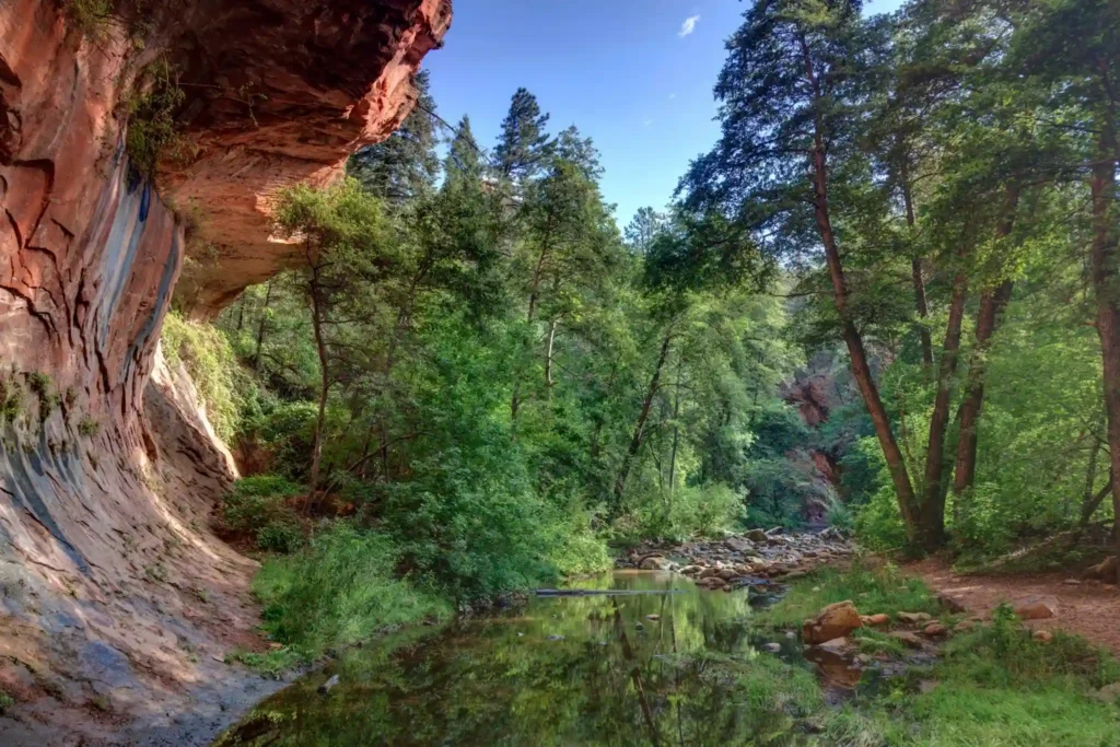 Red sandstone canyon walls and lush riparian trees bordering the creek along the West Fork Trail in Sedona