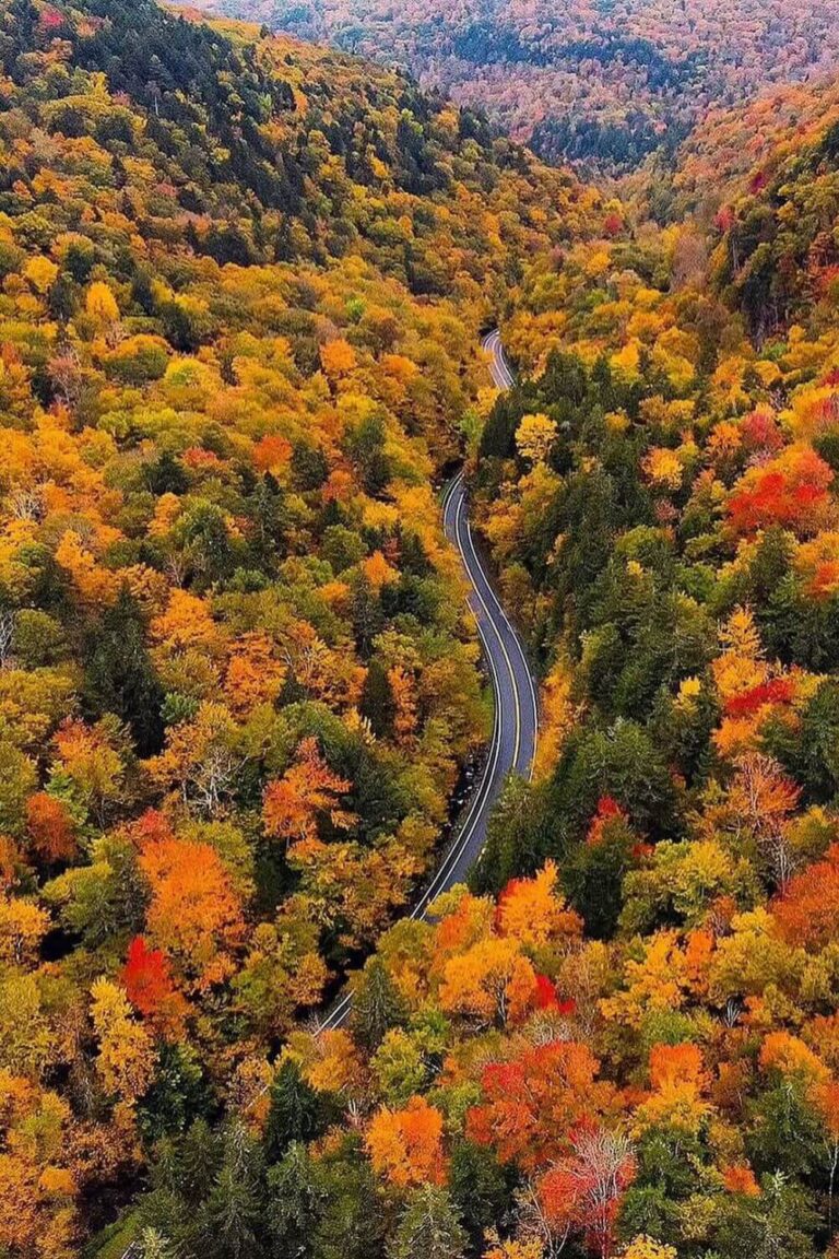 Route 100 Vermont Fall Road Trip