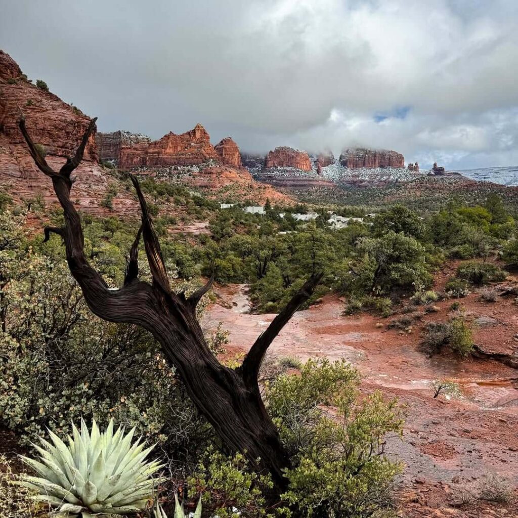 Teacup trail to Coffee Pot Rock