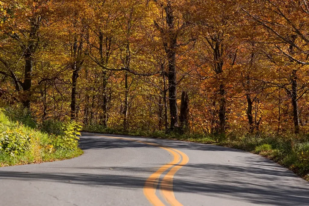 Winding through golden autumn woods along the steep Lincoln Gap Road